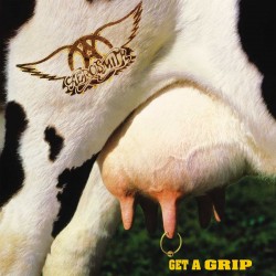 Aerosmith ‎– Get A Grip (Beyaz Renkli) Plak 2 LP
