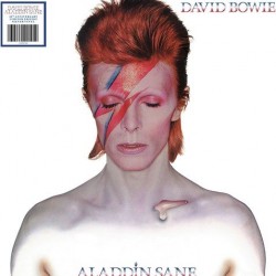 David Bowie ‎– Aladdin Sane (Gümüş Renkli) Plak LP
