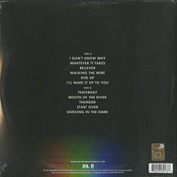 Imagine Dragons - Evolve Plak LP