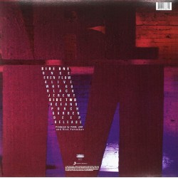 Pearl Jam - Ten Plak LP