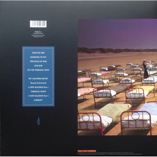 Pink Floyd ‎– A Momentary Lapse Of Reason Plak LP