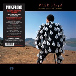 Pink Floyd - Delicate Sound Of Thunder Plak 2 LP