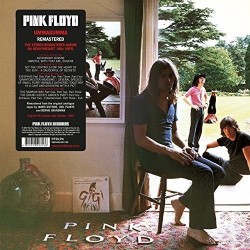 Pink Floyd - Ummagumma Plak 2 LP