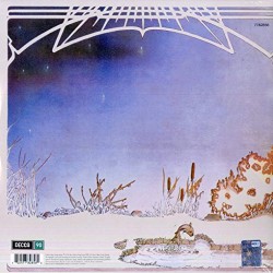 Camel - Moonmadness Plak LP