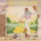 Elton John ‎– Goodbye Yellow Brick Road Plak 2 LP Picture Disc