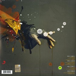 Evanescence - Synthesis Plak 2 LP