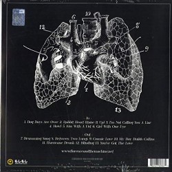 Florence + The Machine ‎– Lungs (Bordo Renkli) Plak LP