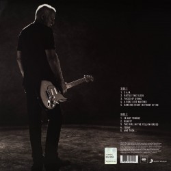 David Gilmour - Rattle That Lock Plak LP