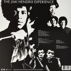 Jimi Hendrix - Are You Experienced Plak 2 LP