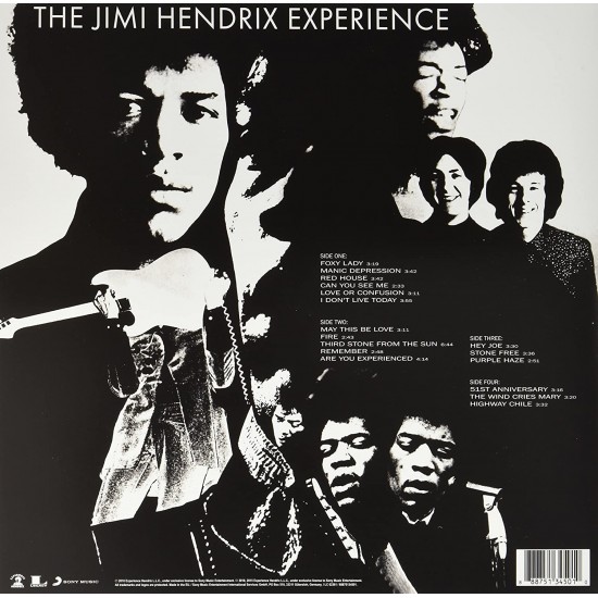Jimi Hendrix - Are You Experienced Plak 2 LP