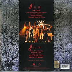Bon Jovi - Slippery When Wet Plak LP