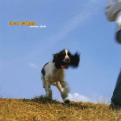 The Cardigans ‎– Emmerdale Plak LP