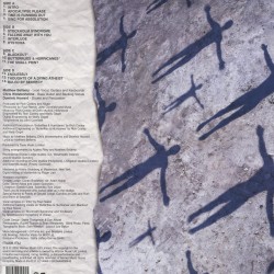 Muse – Absolution Plak 2 LP