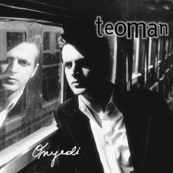 Teoman - Onyedi Plak LP