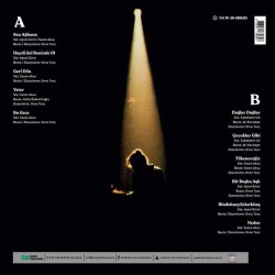 Sezen Aksu ‎– Sen Ağlama Plak LP