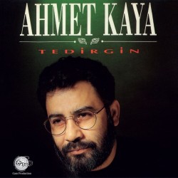 Ahmet Kaya - Tedirgin Plak LP