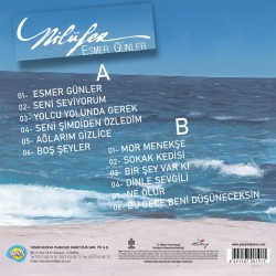 Nilüfer - Esmer Günler Plak LP