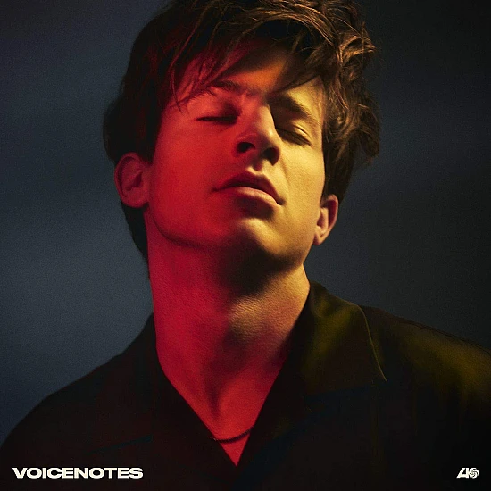 Charlie Puth - Voicenotes Plak LP