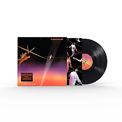 Supertramp - Famous Last Words Plak LP (Half Speed Mastered)