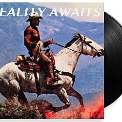The Strokes - Reality Awaits Plak LP