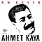 Ahmet Kaya - An Gelir Plak LP