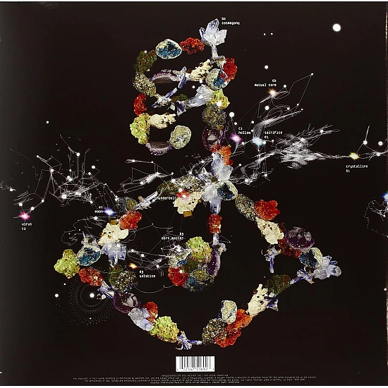 Björk - Biophilia Plak 2 LP