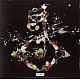 Björk - Biophilia Plak 2 LP