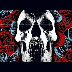 Deftones - Deftones Plak LP