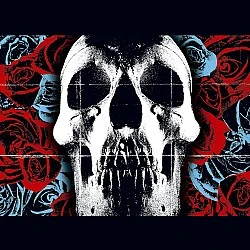 Deftones - Deftones Plak LP