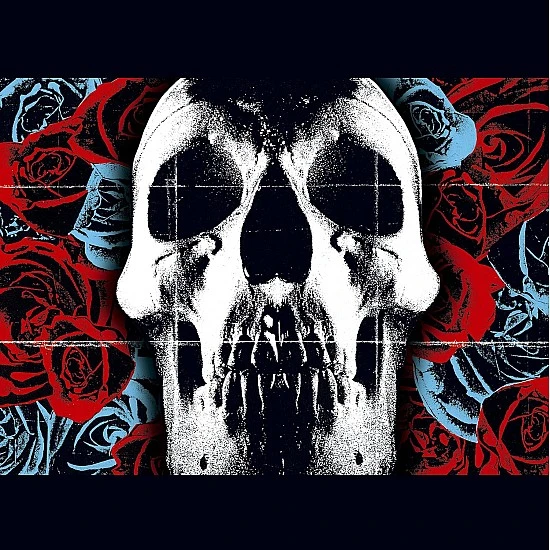 Deftones - Deftones Plak LP