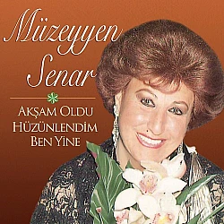 Müzeyyen Senar - Akşam Oldu Hüzünlendim Ben Yine Plak LP