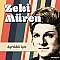 Zeki Müren ‎– Ayrıldık İşte Plak LP