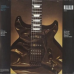 Gary Moore - Run For Cover Plak LP
