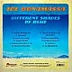 Joe Bonamassa ‎– Different Shades Of Blue Plak LP