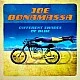Joe Bonamassa ‎– Different Shades Of Blue Plak LP