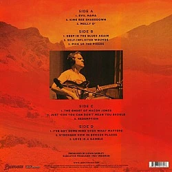 Joe Bonamassa ‎– Redemption Plak 2 LP