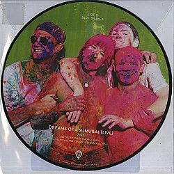 Red Hot Chili Peppers - Go Robot Resimli Plak LP