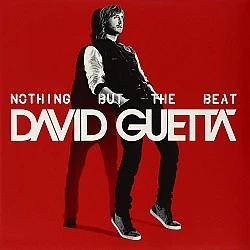 David Guetta ‎– Nothing But The Beat Plak 2 LP