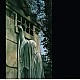 Dead Can Dance ‎– Within The Realm Of A Dying Sun Plak LP