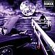 Eminem ‎– The Slim Shady  Plak 2 LP