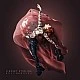 Lindsey Stirling ‎– Brave Enough Plak 2 LP