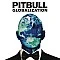 Pitbull - Globalization CD