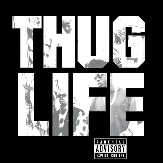 2Pac - Thug Life - Volume 1 Plak LP