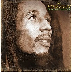 Bob Marley - Trenchtown Rock Plak 2 LP