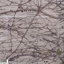 Prince ‎– Musicology  (Mor Renkli)  Plak 2 LP