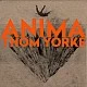 Thom Yorke ‎– Anima Plak 2 LP (Radiohead)