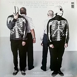 Twenty One Pilots ‎– Vessel (Şeffaf Renkli) Plak LP