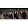 Witherfall