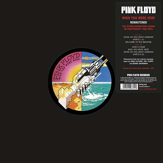 Pink Floyd - Wish You Were Here Plak LP
