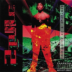 2Pac - Strictly 4 My N.I.G.G.A.Z. 25th Anniversary Edition Plak 2 LP